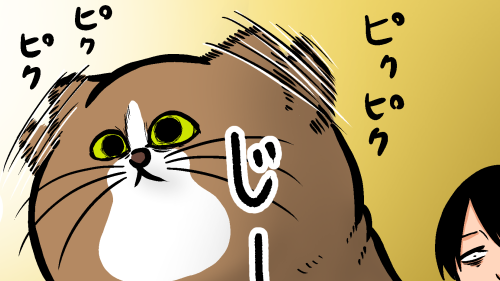 Thumbnail of post image 085