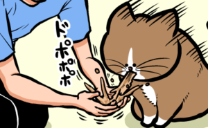 Thumbnail of related posts 155