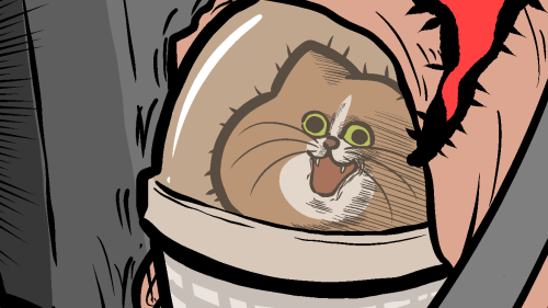 Thumbnail of post image 066