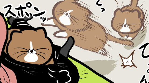 Thumbnail of post image 029