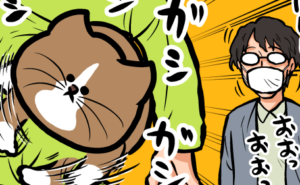 Thumbnail of related posts 053