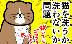 Thumbnail of related posts 059
