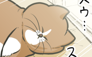 Thumbnail of related posts 113