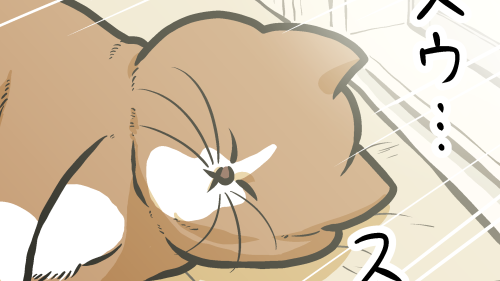 Thumbnail of post image 181