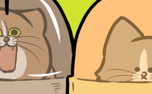 Thumbnail of related posts 006