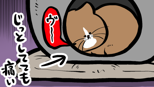 Thumbnail of post image 026