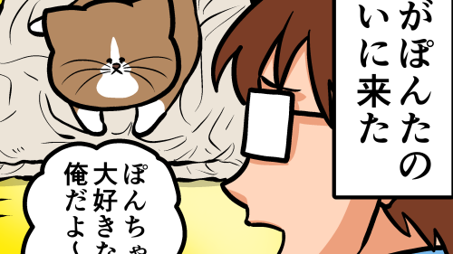 Thumbnail of post image 063