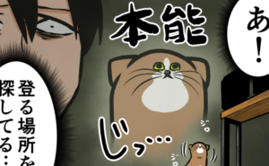 Thumbnail of related posts 153