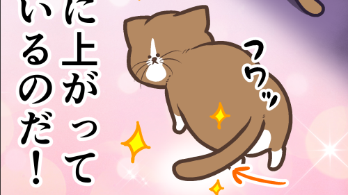 Thumbnail of post image 174