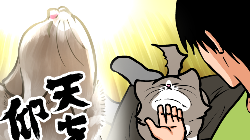 Thumbnail of post image 043