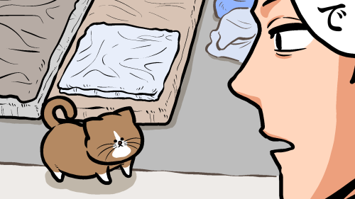 Thumbnail of post image 010