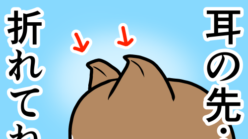 Thumbnail of post image 035