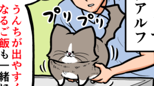 Thumbnail of post image 089