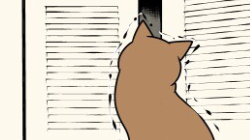 Thumbnail of post image 076
