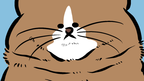 Thumbnail of post image 103