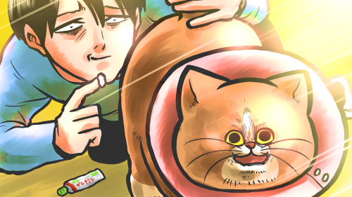 Thumbnail of post image 118