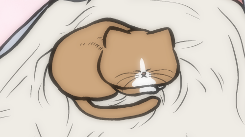 Thumbnail of post image 081