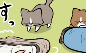 Thumbnail of related posts 101