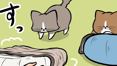 Thumbnail of post image 167