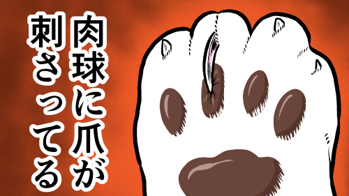 Thumbnail of post image 086