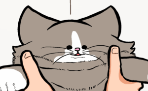 Thumbnail of related posts 172