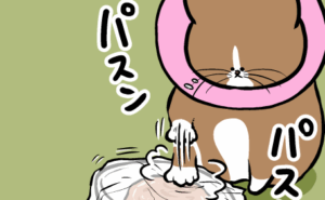 Thumbnail of related posts 069