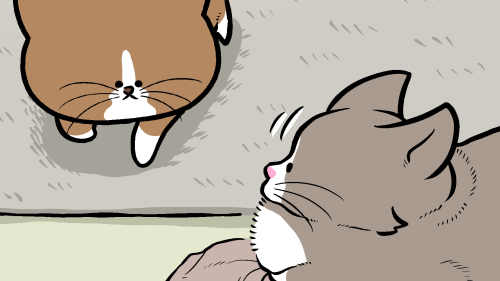 Thumbnail of post image 090