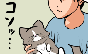 Thumbnail of related posts 161