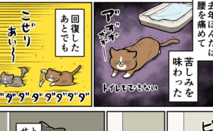 Thumbnail of related posts 177