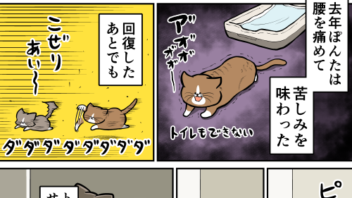 Thumbnail of post image 005