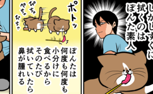 Thumbnail of related posts 001