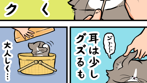 Thumbnail of post image 027