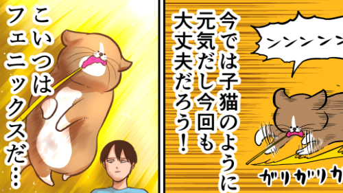 Thumbnail of post image 043