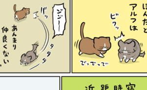Thumbnail of related posts 088