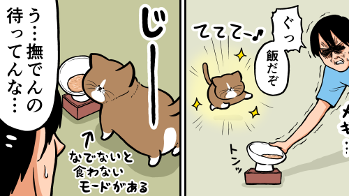 Thumbnail of post image 043