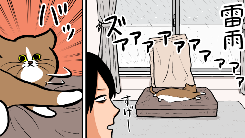 Thumbnail of post image 008