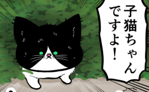 Thumbnail of related posts 137