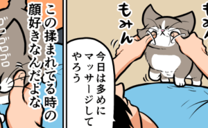 Thumbnail of related posts 018