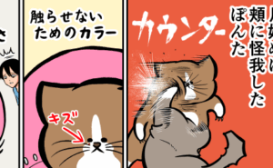 Thumbnail of related posts 110