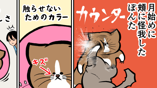 Thumbnail of post image 000