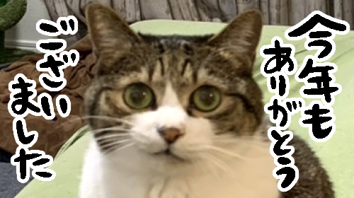 Thumbnail of post image 119